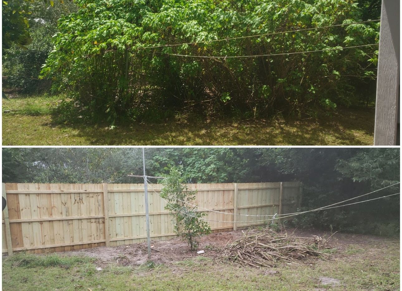 professional land clearing equipment